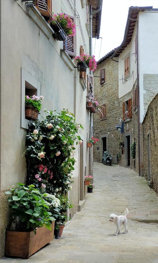 Casa Agata, Accogliente Appartamento Nel Centro Storico Cortona Ngoại thất bức ảnh